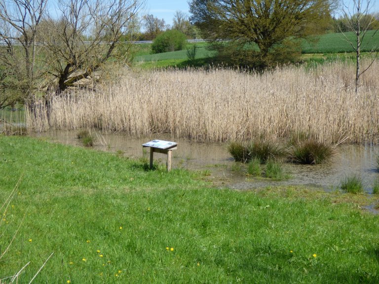 Naturerlebnispfad bei Heiligenbrunn