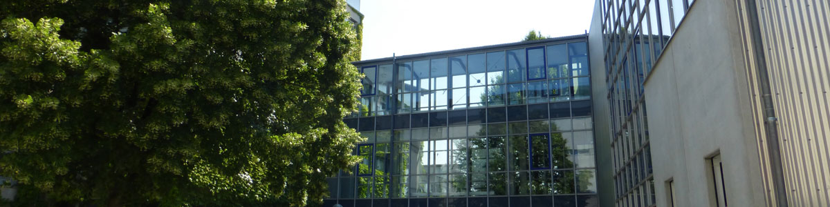 Slider 6